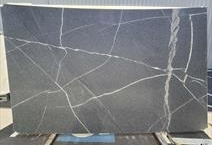 SARATOGA SILVER DUAL